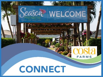 CONNECT_Costa CONNECT_Costa