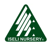 ielsi ielsi