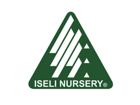 vc23_iseli