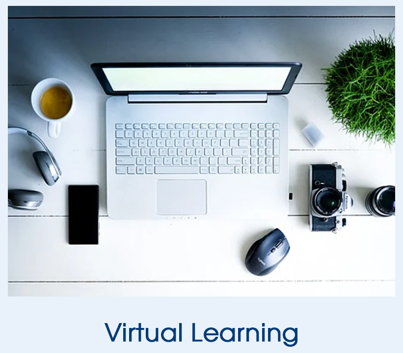 virtual_learning