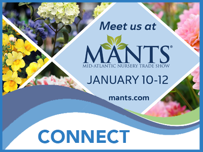 MANTS_CONNECT Banner
