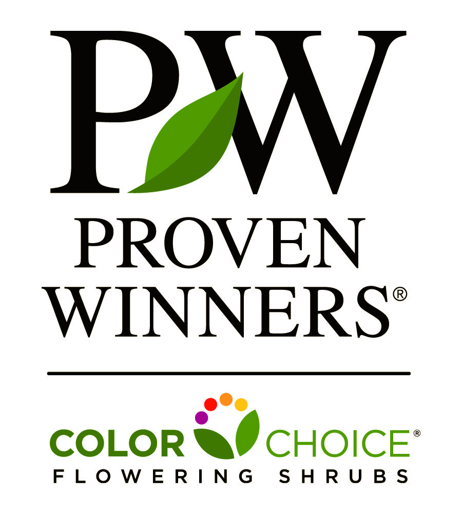 pwcolorchoice-logo