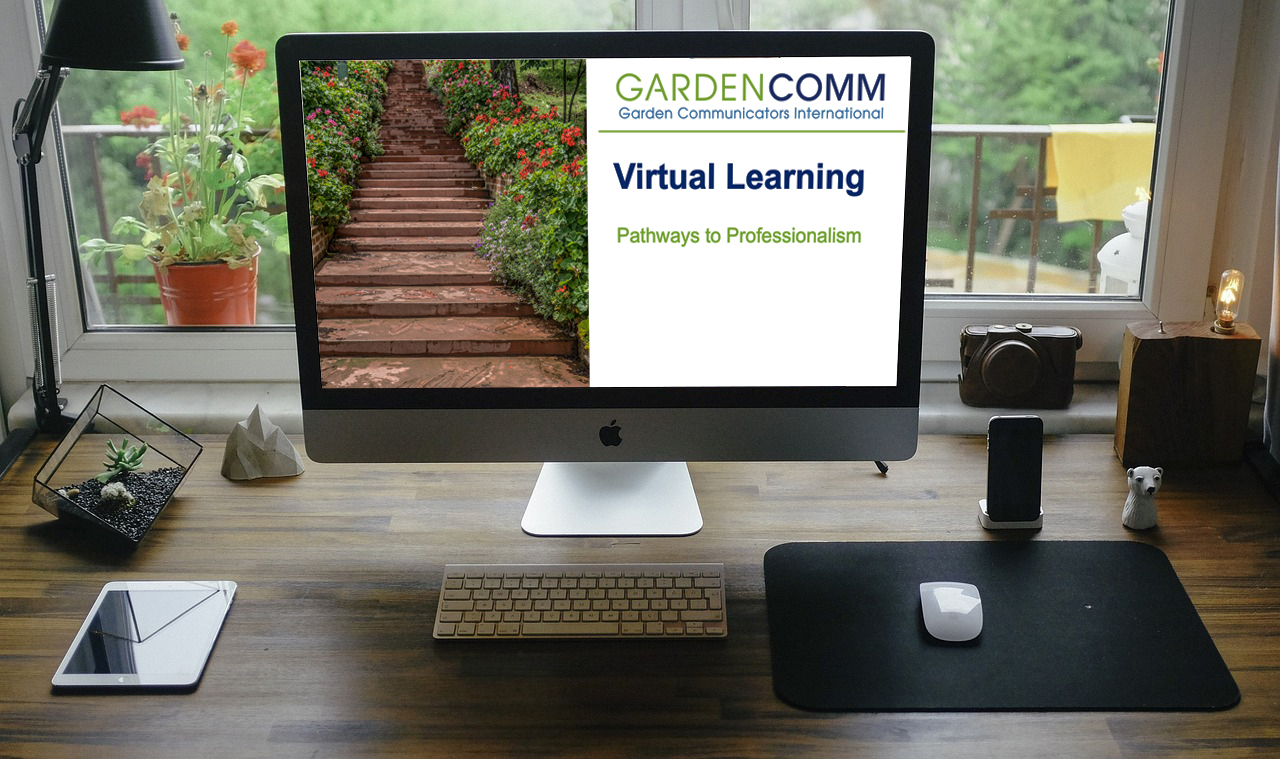 virtual-learning